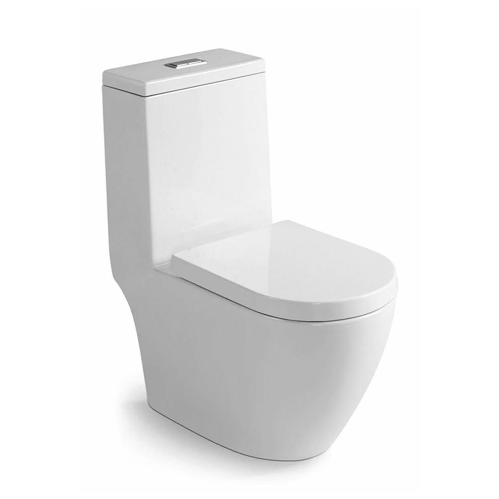 Jaquar Single Piece Rimless Toilet Seat And Cistern