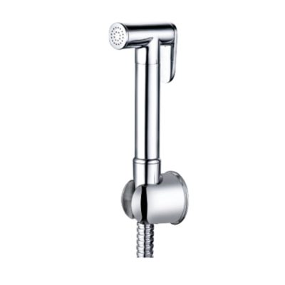 SB Bidet Spray Brass