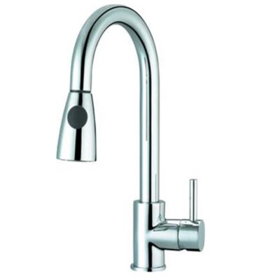 Pozzi P Kitchen Sink Mixer