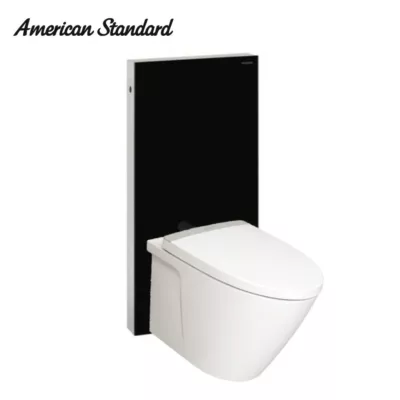 American-Standard-TF3229-with-Geberit-Monolith-BLACK