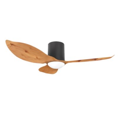 Alaska ELM  Ceiling Fan Black Dark Wood