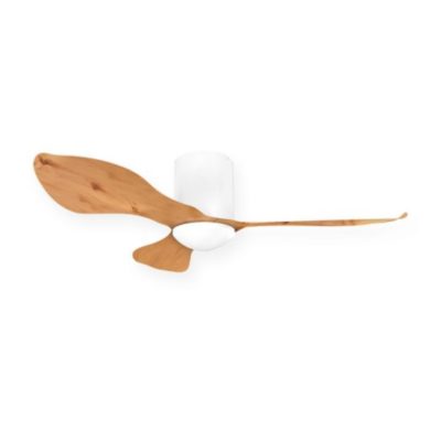 Alaska ELM  Ceiling Fan White Oak