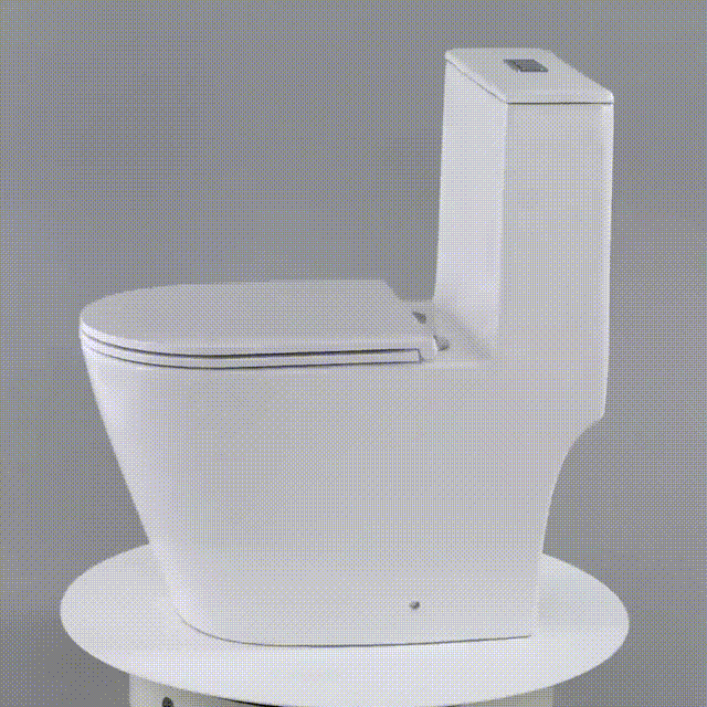 Minera WC One Piece Toilet Bowls
