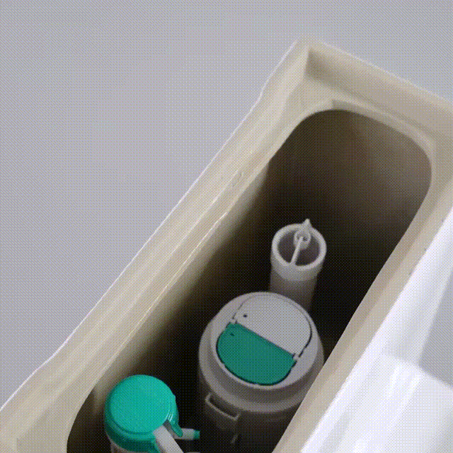 Minera WC10005 One Piece Toilet Bowls R&T cistern