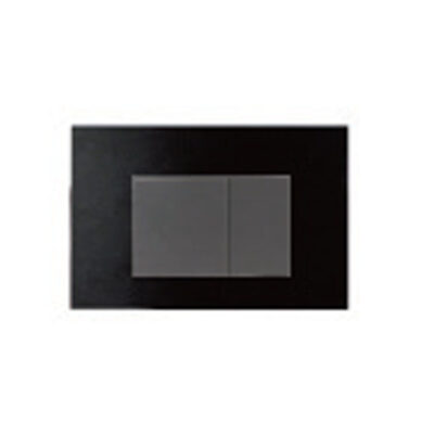 R&T G3004109 Flush Actuator Matt Black