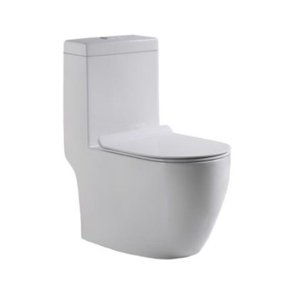 Baron-W818-One-Piece-Rimless-Toilet