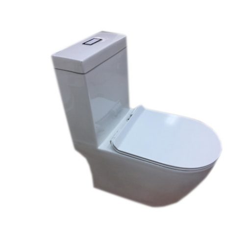 BaronW818OnePieceRimlessToilet Bacera