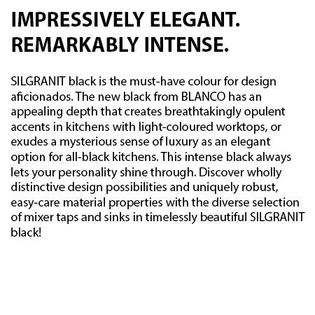 Blanco Dalago Series Sink IMPRESSIVELY ELEGANT feature detail