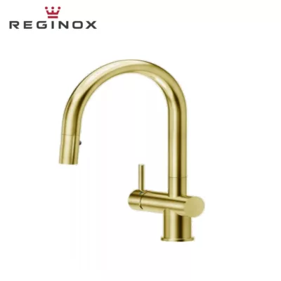 Reginox Cedar Pull-Out Sink Mixer (Gold Flax) 1