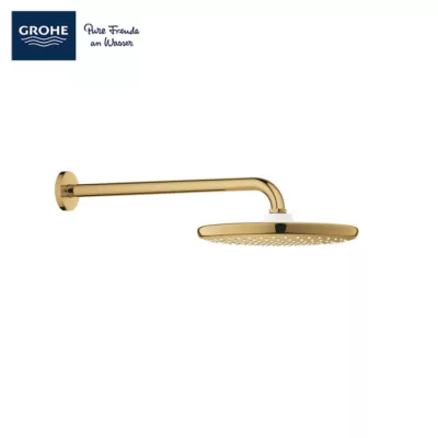 Grohe 26668GL0 Tempesta 250 Overhead Shower (Gold)