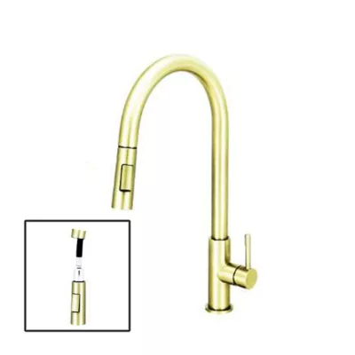 Fidelis FT-67N5C-HBG Pull Out Sink Tap (Brushed Gold)