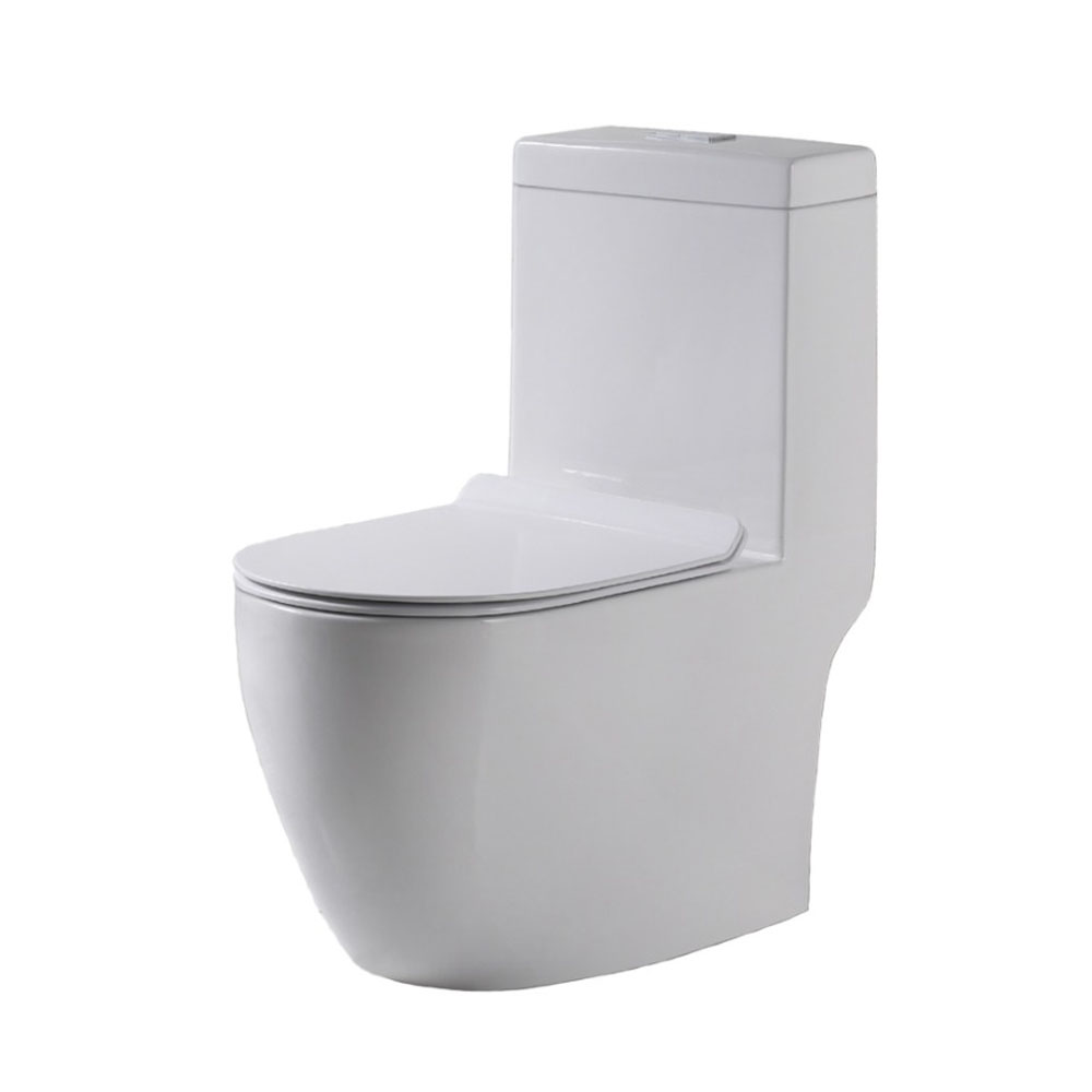 Baron W898 One Piece Toilet Bowl with Tornado Flushing | Bacera