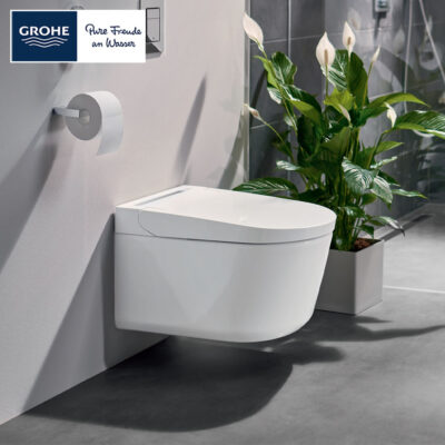 Grohe Igina Shower Toilet Bidet Toilet