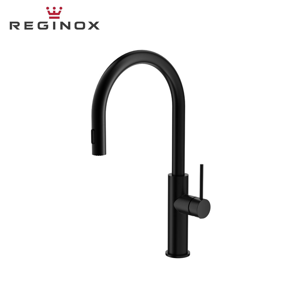Reginox Stroom DS Sink Mixer with Pull Out & Dual Functions Spout (Matt Black)