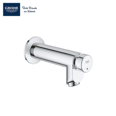 Grohe Euroeco Cosmopolitan-T Self Closing Wall Mounted Basin Tap